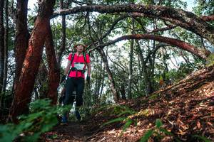 BIB: 
                            <button type="button" onclick="openModal(26345930)" class="btn btn-primary btn-sm float-right btn-popup" data-toggle="modal" data-target=".modal-high-quality">
                        <i class="fas fa-shopping-cart"></i> Add to Cart
                    </button>
                                            <button type="button" onclick="isThisMe(26345930, true)" class="btn btn-success btn-sm float-right btn-popup btn-isme hidden" data-toggle="tooltip" data-placement="bottom" title="นี่คือรูปของคุณใช่ไหม คลิกที่นี่เพื่อเอาเข้าอัลบั้ม">
                        <i class="fas fa-plus"></i> Add to album
                    </button>
                    <button type="button" onclick="isThisMe(26345930, false)" class="btn btn-warning btn-sm float-right btn-popup btn-isnotme hidden">
                        <i class="fas fa-ban"></i> Remove from album
                    </button>